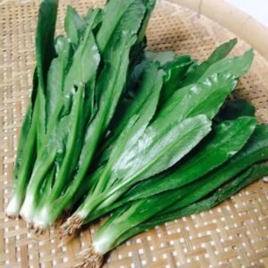Rau ngò gai ノコギリコリアンダー