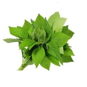 Rau kinh giới ケボウズ葉