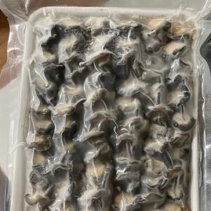 Còi ốc 冷凍エスカルゴ肉