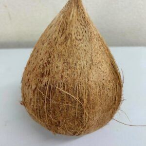 dừa khô quả ココナツ